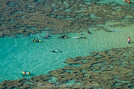 America;American;coral-reef;coral-reefs;corals;dive-site;dive-sites;diving;ecosystem;environment;Hanauma;Hanauma-Bay;Hanauma-Bay-Nature-Preserve;Hanauma-Bay-Nature-Reserve;Hanauma-Bay-State-Park;Hanauma-Crater;Hawaii;Hawaiian-Islands;HI;Island-of-Oahu;leisure;marine;marine-environment;marine-life;marinelife;Oahu;Oahu;Oahu-Island;Ocean;oceanlife;Oceans;Outdoor;Outdoors;Outside;Pacific;people;person;Persons;Recreation;reef;reefs;sea;sealife;seas;snorkelers;snorkeling;snorkellers;snorkelling;snorleler;snorleller;State-of-Hawaii;States;tourisim;tourism;tourist;tourists;tropical-beach;tropical-beaches;tropical-island;tropical-islands;tropical-reef;tropical-reefs;U.S.A;United-States;United-States-of-America;USA;visitor