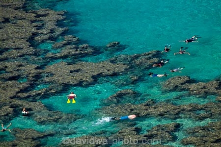 America;American;coral-reef;coral-reefs;corals;dive-site;dive-sites;diving;ecosystem;environment;Hanauma;Hanauma-Bay;Hanauma-Bay-Nature-Preserve;Hanauma-Bay-Nature-Reserve;Hanauma-Bay-State-Park;Hanauma-Crater;Hawaii;Hawaiian-Islands;HI;Island-of-Oahu;leisure;marine;marine-environment;marine-life;marinelife;Oahu;Oahu;Oahu-Island;Ocean;oceanlife;Oceans;Outdoor;Outdoors;Outside;Pacific;people;person;Persons;Recreation;reef;reefs;sea;sealife;seas;snorkelers;snorkeling;snorkellers;snorkelling;snorleler;snorleller;State-of-Hawaii;States;tourisim;tourism;tourist;tourists;tropical-beach;tropical-beaches;tropical-island;tropical-islands;tropical-reef;tropical-reefs;U.S.A;United-States;United-States-of-America;USA;visitor