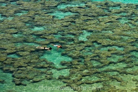 America;American;coral-reef;coral-reefs;corals;dive-site;dive-sites;diving;ecosystem;environment;Hanauma;Hanauma-Bay;Hanauma-Bay-Nature-Preserve;Hanauma-Bay-Nature-Reserve;Hanauma-Bay-State-Park;Hanauma-Crater;Hawaii;Hawaiian-Islands;HI;Island-of-Oahu;leisure;marine;marine-environment;marine-life;marinelife;Oahu;Oahu;Oahu-Island;Ocean;oceanlife;Oceans;Outdoor;Outdoors;Outside;Pacific;people;person;Persons;Recreation;reef;reefs;sea;sealife;seas;snorkelers;snorkeling;snorkellers;snorkelling;snorleler;snorleller;State-of-Hawaii;States;tourisim;tourism;tourist;tourists;tropical-beach;tropical-beaches;tropical-island;tropical-islands;tropical-reef;tropical-reefs;U.S.A;United-States;United-States-of-America;USA;visitor