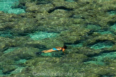 America;American;coral-reef;coral-reefs;corals;dive-site;dive-sites;diving;ecosystem;environment;Hanauma;Hanauma-Bay;Hanauma-Bay-Nature-Preserve;Hanauma-Bay-Nature-Reserve;Hanauma-Bay-State-Park;Hanauma-Crater;Hawaii;Hawaiian-Islands;HI;Island-of-Oahu;leisure;marine;marine-environment;marine-life;marinelife;Oahu;Oahu;Oahu-Island;Ocean;oceanlife;Oceans;Outdoor;Outdoors;Outside;Pacific;people;person;Persons;Recreation;reef;reefs;sea;sealife;seas;snorkelers;snorkeling;snorkellers;snorkelling;snorleler;snorleller;State-of-Hawaii;States;tourisim;tourism;tourist;tourists;tropical-beach;tropical-beaches;tropical-island;tropical-islands;tropical-reef;tropical-reefs;U.S.A;United-States;United-States-of-America;USA;visitor