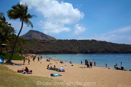 America;American;beach;beaches;coast;coastal;coastline;coastlines;Hanauma;Hanauma-Bay;Hanauma-Bay-Beach;Hanauma-Bay-Nature-Preserve;Hanauma-Bay-Nature-Reserve;Hanauma-Bay-State-Park;Hanauma-Beach;Hanauma-Crater;Hawaii;Hawaiian-Islands;HI;Island-of-Oahu;leisure;Oahu;Oahu;Oahu-Island;Outdoor;Outdoors;Outside;Pacific;palm;palm-tree;palm-trees;palms;people;Person;Persons;Recreation;sand;sandy;State-of-Hawaii;States;tourisim;tourism;tourist;tourists;tropical-beach;tropical-beaches;tropical-island;tropical-islands;U.S.A;United-States;United-States-of-America;USA;visitor