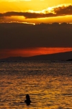 America;American;dusk;evening;Hawaii;Hawaiian-Islands;HI;holiday;holidays;Honolulu;hot;Island-of-Oahu;night;night_time;nightfall;Oahu;Oahu;Oahu-Island;orange;Pacific;people;person;State-of-Hawaii;States;summer;sunset;sunsets;swim;swimmer;swimmers;swimming;tourism;tourist;tourists;tropical;tropical-beach;tropical-beaches;tropical-island;tropical-islands;tropics;twilight;U.S.A;United-States;United-States-of-America;USA;vacation;vacations;visitor;visitors;Waikiki;Waikiki-Beach