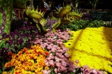 America;American;Bellagio;Bellagio-Botanical-Gardens;Bellagio-Casino;Bellagio-Conservatory;Bellagio-Hotel;Bellagio-Resort;Botanical-Gardens;casino;casinos;City-of-Las-Vegas;Clark-County;Conservatory;Conservatory-and-Botanical-Gardens;flower;flower-garden;flower-gardens;flowers;gambling-casino;gambling-casinos;hotel;hotels;indoor-garden;indoor-gardens;inside;interior;interiors;Las-Vegas;Las-Vegas-Boulevard;Las-Vegas-Strip;Los-Vegas;luxury-hotel;luxury-hotels;LV;Nev;Nevada;NV;resort;sin-city;South-Las-Vegas-Boulevard;Southern-Nevada;States;The-Las-Vegas-Strip;The-Strip;U.S.A;United-States;United-States-of-America;USA;Vegas;Vegas-Strip;West-Coast;West-United-States;West-US;West-USA;Western-United-States;Western-US;Western-USA