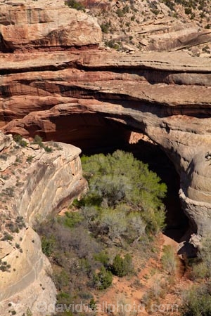 America;American-Southwest;archway;archways;geological;geology;Kachina-Bridge;Kachina-Natural-Bridge;natural-arch;natural-arches;natural-bridge;natural-bridges;Natural-Bridges-N.M.;Natural-Bridges-National-Monument;natural-geological-formation;natural-geological-formations;Natural-Rock-Arch;natural-rock-arches;natural-rock-archs;natural-rock-bridge;natural-rock-bridges;rock;rock-arch;rock-arches;rock-bridge;rock-bridges;rock-formation;rock-formations;rock-outcrop;rock-outcrops;rock-tor;rock-torr;rock-torrs;rock-tors;rocks;Sandstone;South-west-United-States;South-west-US;South-west-USA;South-western-United-States;South-western-US;South-western-USA;Southwest-United-States;Southwest-US;Southwest-USA;Southwestern-United-States;Southwestern-US;Southwestern-USA;States;stone;the-Southwest;U.S.-National-Monument;U.S.-National-Monuments;U.S.A;United-States;United-States-of-America;unusual-natural-feature;unusual-natural-features;unusual-natural-formation;unusual-natural-formations;USA;UT;Utah;wilderness;wilderness-area;wilderness-areas