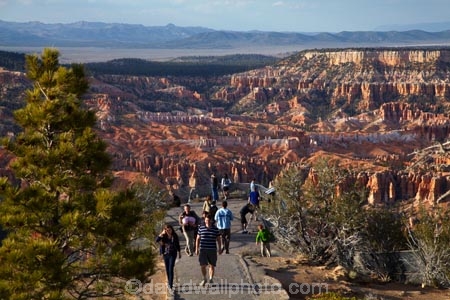 America;American-Southwest;badland;badlands;Bryce-Amphitheater;Bryce-Amphitheatre;Bryce-Canyon;Bryce-Canyon-N.P.;Bryce-Canyon-National-Park;Bryce-Canyon-NP;Bryce-Point;clay;column;columns;earth-pyramid;earth-pyramids;eroded;erosion;fairy-chimney;fairy-chimneys;formation;formations;geological;geology;hiker;hikers;hoodoo;hoodoos;layer;layers;lookout;lookouts;national-park;national-parks;natural-geological-formation;natural-geological-formations;natural-tower;natural-towers;North-America;overlook;Paunsaugunt-Plateau;people;person;pillar;pillars;pinnacle;pinnacles;rock;rock-chimney;rock-chimneys;rock-column;rock-columns;rock-formation;rock-formations;rock-pillar;rock-pillars;rock-pinnacle;rock-pinnacles;rock-spire;rock-spires;rock-tower;rock-towers;rocks;Sandstone;South-west-United-States;South-west-US;South-west-USA;South-western-United-States;South-western-US;South-western-USA;Southwest-United-States;Southwest-US;Southwest-USA;Southwestern-United-States;Southwestern-US;Southwestern-USA;States;stone;tent-rock;tent-rocks;the-Southwest;tourism;tourist;tourists;U.S.A;United-States;United-States-of-America;unusual-natural-feature;unusual-natural-features;unusual-natural-formation;unusual-natural-formations;USA;UT;Utah;view;viewpoint;viewpoints;views;walker;walkers;weathered;weathering;wilderness;wilderness-area;wilderness-areas