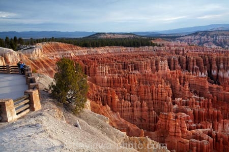 America;American-Southwest;badland;badlands;Bryce-Amphitheater;Bryce-Amphitheatre;Bryce-Canyon;Bryce-Canyon-N.P.;Bryce-Canyon-National-Park;Bryce-Canyon-NP;clay;column;columns;earth-pyramid;earth-pyramids;eroded;erosion;fairy-chimney;fairy-chimneys;formation;formations;geological;geology;hiker;hikers;hoodoo;hoodoos;Inspiration-Point;layer;layers;lookout;lookouts;national-park;national-parks;natural-geological-formation;natural-geological-formations;natural-tower;natural-towers;North-America;overlook;Paunsaugunt-Plateau;people;person;pillar;pillars;pinnacle;pinnacles;rock;rock-chimney;rock-chimneys;rock-column;rock-columns;rock-formation;rock-formations;rock-pillar;rock-pillars;rock-pinnacle;rock-pinnacles;rock-spire;rock-spires;rock-tower;rock-towers;rocks;Sandstone;South-west-United-States;South-west-US;South-west-USA;South-western-United-States;South-western-US;South-western-USA;Southwest-United-States;Southwest-US;Southwest-USA;Southwestern-United-States;Southwestern-US;Southwestern-USA;States;stone;tent-rock;tent-rocks;the-Southwest;tourism;tourist;tourists;U.S.A;United-States;United-States-of-America;unusual-natural-feature;unusual-natural-features;unusual-natural-formation;unusual-natural-formations;USA;UT;Utah;view;viewpoint;viewpoints;views;walker;walkers;weathered;weathering;wilderness;wilderness-area;wilderness-areas