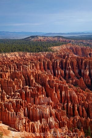America;American-Southwest;badland;badlands;Bryce-Amphitheater;Bryce-Amphitheatre;Bryce-Canyon;Bryce-Canyon-N.P.;Bryce-Canyon-National-Park;Bryce-Canyon-NP;clay;column;columns;earth-pyramid;earth-pyramids;eroded;erosion;fairy-chimney;fairy-chimneys;formation;formations;geological;geology;hoodoo;hoodoos;Inspiration-Point;layer;layers;lookout;lookouts;national-park;national-parks;natural-geological-formation;natural-geological-formations;natural-tower;natural-towers;North-America;overlook;Paunsaugunt-Plateau;pillar;pillars;pinnacle;pinnacles;rock;rock-chimney;rock-chimneys;rock-column;rock-columns;rock-formation;rock-formations;rock-pillar;rock-pillars;rock-pinnacle;rock-pinnacles;rock-spire;rock-spires;rock-tower;rock-towers;rocks;Sandstone;South-west-United-States;South-west-US;South-west-USA;South-western-United-States;South-western-US;South-western-USA;Southwest-United-States;Southwest-US;Southwest-USA;Southwestern-United-States;Southwestern-US;Southwestern-USA;States;stone;Sunset-Point;tent-rock;tent-rocks;the-Southwest;U.S.A;United-States;United-States-of-America;unusual-natural-feature;unusual-natural-features;unusual-natural-formation;unusual-natural-formations;USA;UT;Utah;view;viewpoint;viewpoints;views;weathered;weathering;wilderness;wilderness-area;wilderness-areas