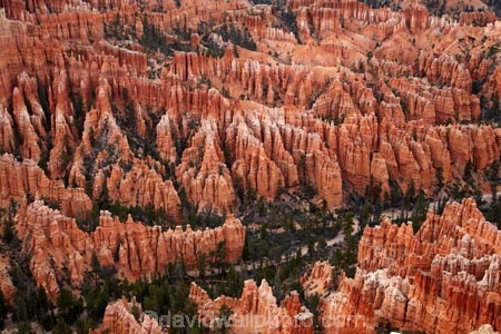 America;American-Southwest;badland;badlands;Bryce-Amphitheater;Bryce-Amphitheatre;Bryce-Canyon;Bryce-Canyon-N.P.;Bryce-Canyon-National-Park;Bryce-Canyon-NP;Bryce-Point;clay;column;columns;earth-pyramid;earth-pyramids;eroded;erosion;fairy-chimney;fairy-chimneys;formation;formations;geological;geology;hoodoo;hoodoos;layer;layers;lookout;lookouts;national-park;national-parks;natural-geological-formation;natural-geological-formations;natural-tower;natural-towers;North-America;overlook;Paunsaugunt-Plateau;pillar;pillars;pinnacle;pinnacles;rock;rock-chimney;rock-chimneys;rock-column;rock-columns;rock-formation;rock-formations;rock-pillar;rock-pillars;rock-pinnacle;rock-pinnacles;rock-spire;rock-spires;rock-tower;rock-towers;rocks;Sandstone;South-west-United-States;South-west-US;South-west-USA;South-western-United-States;South-western-US;South-western-USA;Southwest-United-States;Southwest-US;Southwest-USA;Southwestern-United-States;Southwestern-US;Southwestern-USA;States;stone;tent-rock;tent-rocks;the-Southwest;U.S.A;United-States;United-States-of-America;unusual-natural-feature;unusual-natural-features;unusual-natural-formation;unusual-natural-formations;USA;UT;Utah;view;viewpoint;viewpoints;views;weathered;weathering;wilderness;wilderness-area;wilderness-areas