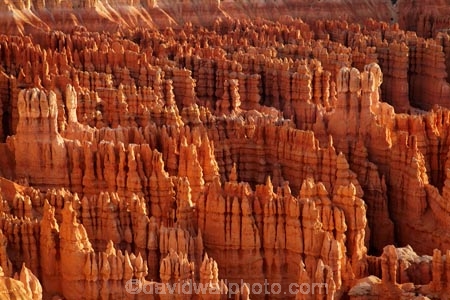 America;American-Southwest;badland;badlands;Bryce-Amphitheater;Bryce-Amphitheatre;Bryce-Canyon;Bryce-Canyon-N.P.;Bryce-Canyon-National-Park;Bryce-Canyon-NP;clay;column;columns;earth-pyramid;earth-pyramids;eroded;erosion;fairy-chimney;fairy-chimneys;formation;formations;geological;geology;hoodoo;hoodoos;Inspiration-Point;layer;layers;lookout;lookouts;national-park;national-parks;natural-geological-formation;natural-geological-formations;natural-tower;natural-towers;North-America;overlook;Paunsaugunt-Plateau;pillar;pillars;pinnacle;pinnacles;rock;rock-chimney;rock-chimneys;rock-column;rock-columns;rock-formation;rock-formations;rock-pillar;rock-pillars;rock-pinnacle;rock-pinnacles;rock-spire;rock-spires;rock-tower;rock-towers;rocks;Sandstone;South-west-United-States;South-west-US;South-west-USA;South-western-United-States;South-western-US;South-western-USA;Southwest-United-States;Southwest-US;Southwest-USA;Southwestern-United-States;Southwestern-US;Southwestern-USA;States;stone;tent-rock;tent-rocks;the-Southwest;U.S.A;United-States;United-States-of-America;unusual-natural-feature;unusual-natural-features;unusual-natural-formation;unusual-natural-formations;USA;UT;Utah;view;viewpoint;viewpoints;views;weathered;weathering;wilderness;wilderness-area;wilderness-areas