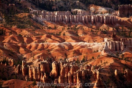 America;American-Southwest;badland;badlands;Bryce-Amphitheater;Bryce-Amphitheatre;Bryce-Canyon;Bryce-Canyon-N.P.;Bryce-Canyon-National-Park;Bryce-Canyon-NP;Bryce-Point;clay;column;columns;earth-pyramid;earth-pyramids;eroded;erosion;fairy-chimney;fairy-chimneys;formation;formations;geological;geology;hoodoo;hoodoos;layer;layers;lookout;lookouts;national-park;national-parks;natural-geological-formation;natural-geological-formations;natural-tower;natural-towers;North-America;overlook;Paunsaugunt-Plateau;pillar;pillars;pinnacle;pinnacles;rock;rock-chimney;rock-chimneys;rock-column;rock-columns;rock-formation;rock-formations;rock-pillar;rock-pillars;rock-pinnacle;rock-pinnacles;rock-spire;rock-spires;rock-tower;rock-towers;rocks;Sandstone;South-west-United-States;South-west-US;South-west-USA;South-western-United-States;South-western-US;South-western-USA;Southwest-United-States;Southwest-US;Southwest-USA;Southwestern-United-States;Southwestern-US;Southwestern-USA;States;stone;tent-rock;tent-rocks;the-Southwest;U.S.A;United-States;United-States-of-America;unusual-natural-feature;unusual-natural-features;unusual-natural-formation;unusual-natural-formations;USA;UT;Utah;view;viewpoint;viewpoints;views;weathered;weathering;wilderness;wilderness-area;wilderness-areas