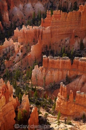 America;American-Southwest;badland;badlands;Bryce-Amphitheater;Bryce-Amphitheatre;Bryce-Canyon;Bryce-Canyon-N.P.;Bryce-Canyon-National-Park;Bryce-Canyon-NP;clay;column;columns;earth-pyramid;earth-pyramids;eroded;erosion;fairy-chimney;fairy-chimneys;formation;formations;geological;geology;hoodoo;hoodoos;Inspiration-Point;layer;layers;lookout;lookouts;national-park;national-parks;natural-geological-formation;natural-geological-formations;natural-tower;natural-towers;North-America;overlook;Paunsaugunt-Plateau;pillar;pillars;pinnacle;pinnacles;rock;rock-chimney;rock-chimneys;rock-column;rock-columns;rock-formation;rock-formations;rock-pillar;rock-pillars;rock-pinnacle;rock-pinnacles;rock-spire;rock-spires;rock-tower;rock-towers;rocks;Sandstone;South-west-United-States;South-west-US;South-west-USA;South-western-United-States;South-western-US;South-western-USA;Southwest-United-States;Southwest-US;Southwest-USA;Southwestern-United-States;Southwestern-US;Southwestern-USA;States;stone;tent-rock;tent-rocks;the-Southwest;U.S.A;United-States;United-States-of-America;unusual-natural-feature;unusual-natural-features;unusual-natural-formation;unusual-natural-formations;USA;UT;Utah;view;viewpoint;viewpoints;views;weathered;weathering;wilderness;wilderness-area;wilderness-areas
