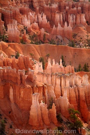 America;American-Southwest;badland;badlands;Bryce-Amphitheater;Bryce-Amphitheatre;Bryce-Canyon;Bryce-Canyon-N.P.;Bryce-Canyon-National-Park;Bryce-Canyon-NP;clay;column;columns;earth-pyramid;earth-pyramids;eroded;erosion;fairy-chimney;fairy-chimneys;formation;formations;geological;geology;hoodoo;hoodoos;Inspiration-Point;layer;layers;lookout;lookouts;national-park;national-parks;natural-geological-formation;natural-geological-formations;natural-tower;natural-towers;North-America;overlook;Paunsaugunt-Plateau;pillar;pillars;pinnacle;pinnacles;rock;rock-chimney;rock-chimneys;rock-column;rock-columns;rock-formation;rock-formations;rock-pillar;rock-pillars;rock-pinnacle;rock-pinnacles;rock-spire;rock-spires;rock-tower;rock-towers;rocks;Sandstone;South-west-United-States;South-west-US;South-west-USA;South-western-United-States;South-western-US;South-western-USA;Southwest-United-States;Southwest-US;Southwest-USA;Southwestern-United-States;Southwestern-US;Southwestern-USA;States;stone;tent-rock;tent-rocks;the-Southwest;U.S.A;United-States;United-States-of-America;unusual-natural-feature;unusual-natural-features;unusual-natural-formation;unusual-natural-formations;USA;UT;Utah;view;viewpoint;viewpoints;views;weathered;weathering;wilderness;wilderness-area;wilderness-areas