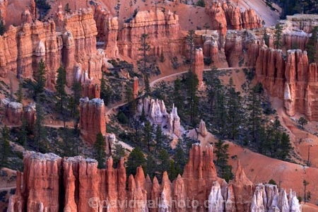 America;American-Southwest;badland;badlands;Bryce-Amphitheater;Bryce-Amphitheatre;Bryce-Canyon;Bryce-Canyon-N.P.;Bryce-Canyon-National-Park;Bryce-Canyon-NP;clay;column;columns;earth-pyramid;earth-pyramids;eroded;erosion;fairy-chimney;fairy-chimneys;formation;formations;geological;geology;hiking-path;hiking-paths;hiking-track;hiking-tracks;hiking-trail;hiking-trails;hoodoo;hoodoos;layer;layers;lookout;lookouts;national-park;national-parks;natural-geological-formation;natural-geological-formations;natural-tower;natural-towers;North-America;overlook;path;paths;pathway;pathways;Paunsaugunt-Plateau;pillar;pillars;pinnacle;pinnacles;Queens-Garden-Path;Queens-Garden-Trackl;Queens-Garden-Trail;Queens-Garden-walk;Queens-Garden-Path;Queens-Garden-Track;Queens-Garden-Trail;Queens-Garden-walk;rock;rock-chimney;rock-chimneys;rock-column;rock-columns;rock-formation;rock-formations;rock-pillar;rock-pillars;rock-pinnacle;rock-pinnacles;rock-spire;rock-spires;rock-tower;rock-towers;rocks;route;routes;Sandstone;South-west-United-States;South-west-US;South-west-USA;South-western-United-States;South-western-US;South-western-USA;Southwest-United-States;Southwest-US;Southwest-USA;Southwestern-United-States;Southwestern-US;Southwestern-USA;States;stone;tent-rock;tent-rocks;the-Southwest;track;tracks;trail;trails;tramping-track;tramping-tracks;tramping-trail;tramping-trails;U.S.A;United-States;United-States-of-America;unusual-natural-feature;unusual-natural-features;unusual-natural-formation;unusual-natural-formations;USA;UT;Utah;view;viewpoint;viewpoints;views;walking-path;walking-paths;walking-track;walking-tracks;walking-trail;walking-trails;walkway;walkways;weathered;weathering;wilderness;wilderness-area;wilderness-areas