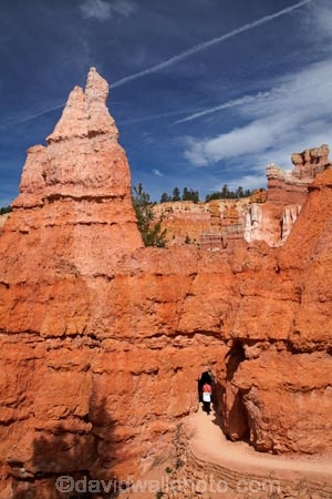 America;American-Southwest;badland;badlands;Bryce-Amphitheater;Bryce-Amphitheatre;Bryce-Canyon;Bryce-Canyon-N.P.;Bryce-Canyon-National-Park;Bryce-Canyon-NP;clay;column;columns;earth-pyramid;earth-pyramids;eroded;erosion;fairy-chimney;fairy-chimneys;formation;formations;geological;geology;hiker;hikers;hiking-path;hiking-paths;hiking-track;hiking-tracks;hiking-trail;hiking-trails;hoodoo;hoodoos;layer;layers;national-park;national-parks;natural-geological-formation;natural-geological-formations;natural-tower;natural-towers;North-America;path;paths;pathway;pathways;Paunsaugunt-Plateau;people;person;pillar;pillars;pinnacle;pinnacles;Queens-Garden-Path;Queens-Garden-Trackl;Queens-Garden-Trail;Queens-Garden-walk;Queens-Garden-Path;Queens-Garden-Track;Queens-Garden-Trail;Queens-Garden-walk;rock;rock-chimney;rock-chimneys;rock-column;rock-columns;rock-formation;rock-formations;rock-pillar;rock-pillars;rock-pinnacle;rock-pinnacles;rock-spire;rock-spires;rock-tower;rock-towers;rocks;route;routes;Sandstone;South-west-United-States;South-west-US;South-west-USA;South-western-United-States;South-western-US;South-western-USA;Southwest-United-States;Southwest-US;Southwest-USA;Southwestern-United-States;Southwestern-US;Southwestern-USA;States;stone;tent-rock;tent-rocks;the-Southwest;tourism;tourist;tourists;track;tracks;trail;trails;tramping-track;tramping-tracks;tramping-trail;tramping-trails;tunnel;tunnels;U.S.A;United-States;United-States-of-America;unusual-natural-feature;unusual-natural-features;unusual-natural-formation;unusual-natural-formations;USA;UT;Utah;walker;walkers;walking-path;walking-paths;walking-track;walking-tracks;walking-trail;walking-trails;walkway;walkways;weathered;weathering;wilderness;wilderness-area;wilderness-areas