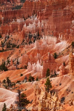 America;American-Southwest;badland;badlands;Bryce-Amphitheater;Bryce-Amphitheatre;Bryce-Canyon;Bryce-Canyon-N.P.;Bryce-Canyon-National-Park;Bryce-Canyon-NP;clay;column;columns;earth-pyramid;earth-pyramids;eroded;erosion;fairy-chimney;fairy-chimneys;formation;formations;geological;geology;hoodoo;hoodoos;layer;layers;lookout;lookouts;national-park;national-parks;natural-geological-formation;natural-geological-formations;natural-tower;natural-towers;North-America;overlook;Paunsaugunt-Plateau;pillar;pillars;pinnacle;pinnacles;rock;rock-chimney;rock-chimneys;rock-column;rock-columns;rock-formation;rock-formations;rock-pillar;rock-pillars;rock-pinnacle;rock-pinnacles;rock-spire;rock-spires;rock-tower;rock-towers;rocks;Sandstone;South-west-United-States;South-west-US;South-west-USA;South-western-United-States;South-western-US;South-western-USA;Southwest-United-States;Southwest-US;Southwest-USA;Southwestern-United-States;Southwestern-US;Southwestern-USA;States;stone;tent-rock;tent-rocks;the-Southwest;U.S.A;United-States;United-States-of-America;unusual-natural-feature;unusual-natural-features;unusual-natural-formation;unusual-natural-formations;USA;UT;Utah;view;viewpoint;viewpoints;views;weathered;weathering;wilderness;wilderness-area;wilderness-areas