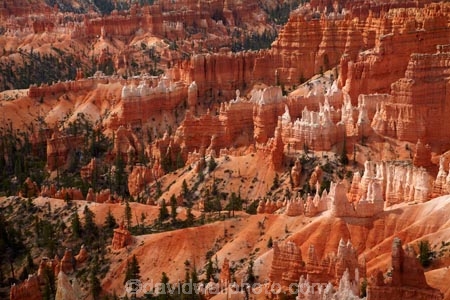 America;American-Southwest;badland;badlands;Bryce-Amphitheater;Bryce-Amphitheatre;Bryce-Canyon;Bryce-Canyon-N.P.;Bryce-Canyon-National-Park;Bryce-Canyon-NP;clay;column;columns;earth-pyramid;earth-pyramids;eroded;erosion;fairy-chimney;fairy-chimneys;formation;formations;geological;geology;hoodoo;hoodoos;layer;layers;lookout;lookouts;national-park;national-parks;natural-geological-formation;natural-geological-formations;natural-tower;natural-towers;North-America;overlook;Paunsaugunt-Plateau;pillar;pillars;pinnacle;pinnacles;rock;rock-chimney;rock-chimneys;rock-column;rock-columns;rock-formation;rock-formations;rock-pillar;rock-pillars;rock-pinnacle;rock-pinnacles;rock-spire;rock-spires;rock-tower;rock-towers;rocks;Sandstone;South-west-United-States;South-west-US;South-west-USA;South-western-United-States;South-western-US;South-western-USA;Southwest-United-States;Southwest-US;Southwest-USA;Southwestern-United-States;Southwestern-US;Southwestern-USA;States;stone;tent-rock;tent-rocks;the-Southwest;U.S.A;United-States;United-States-of-America;unusual-natural-feature;unusual-natural-features;unusual-natural-formation;unusual-natural-formations;USA;UT;Utah;view;viewpoint;viewpoints;views;weathered;weathering;wilderness;wilderness-area;wilderness-areas