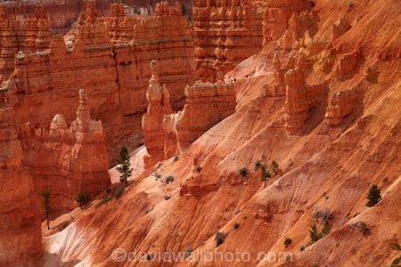 America;American-Southwest;badland;badlands;Bryce-Amphitheater;Bryce-Amphitheatre;Bryce-Canyon;Bryce-Canyon-N.P.;Bryce-Canyon-National-Park;Bryce-Canyon-NP;clay;column;columns;earth-pyramid;earth-pyramids;eroded;erosion;fairy-chimney;fairy-chimneys;formation;formations;geological;geology;hiker;hikers;hiking-path;hiking-paths;hiking-track;hiking-tracks;hiking-trail;hiking-trails;hoodoo;hoodoos;layer;layers;lookout;lookouts;national-park;national-parks;natural-geological-formation;natural-geological-formations;natural-tower;natural-towers;Navajo-Loop;Navajo-Loop-path;Navajo-Loop-track;Navajo-Loop-trail;Navajo-Loop-walk;Navajo-path;Navajo-track;Navajo-trail;Navajo-walk;North-America;overlook;path;paths;pathway;pathways;Paunsaugunt-Plateau;people;person;pillar;pillars;pinnacle;pinnacles;rock;rock-chimney;rock-chimneys;rock-column;rock-columns;rock-formation;rock-formations;rock-pillar;rock-pillars;rock-pinnacle;rock-pinnacles;rock-spire;rock-spires;rock-tower;rock-towers;rocks;route;routes;Sandstone;South-west-United-States;South-west-US;South-west-USA;South-western-United-States;South-western-US;South-western-USA;Southwest-United-States;Southwest-US;Southwest-USA;Southwestern-United-States;Southwestern-US;Southwestern-USA;States;stone;tent-rock;tent-rocks;the-Southwest;tourism;tourist;tourists;track;tracks;trail;trails;tramping-track;tramping-tracks;tramping-trail;tramping-trails;U.S.A;United-States;United-States-of-America;unusual-natural-feature;unusual-natural-features;unusual-natural-formation;unusual-natural-formations;USA;UT;Utah;view;viewpoint;viewpoints;views;walker;walkers;walking-path;walking-paths;walking-track;walking-tracks;walking-trail;walking-trails;walkway;walkways;weathered;weathering;wilderness;wilderness-area;wilderness-areas