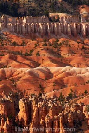 America;American-Southwest;badland;badlands;Bryce-Amphitheater;Bryce-Amphitheatre;Bryce-Canyon;Bryce-Canyon-N.P.;Bryce-Canyon-National-Park;Bryce-Canyon-NP;clay;column;columns;earth-pyramid;earth-pyramids;eroded;erosion;fairy-chimney;fairy-chimneys;formation;formations;geological;geology;hoodoo;hoodoos;layer;layers;lookout;lookouts;national-park;national-parks;natural-geological-formation;natural-geological-formations;natural-tower;natural-towers;North-America;overlook;Paunsaugunt-Plateau;pillar;pillars;pinnacle;pinnacles;rock;rock-chimney;rock-chimneys;rock-column;rock-columns;rock-formation;rock-formations;rock-pillar;rock-pillars;rock-pinnacle;rock-pinnacles;rock-spire;rock-spires;rock-tower;rock-towers;rocks;Sandstone;South-west-United-States;South-west-US;South-west-USA;South-western-United-States;South-western-US;South-western-USA;Southwest-United-States;Southwest-US;Southwest-USA;Southwestern-United-States;Southwestern-US;Southwestern-USA;States;stone;tent-rock;tent-rocks;the-Southwest;U.S.A;United-States;United-States-of-America;unusual-natural-feature;unusual-natural-features;unusual-natural-formation;unusual-natural-formations;USA;UT;Utah;view;viewpoint;viewpoints;views;weathered;weathering;wilderness;wilderness-area;wilderness-areas