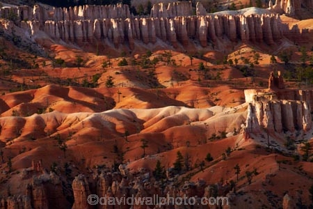 America;American-Southwest;badland;badlands;Bryce-Amphitheater;Bryce-Amphitheatre;Bryce-Canyon;Bryce-Canyon-N.P.;Bryce-Canyon-National-Park;Bryce-Canyon-NP;clay;column;columns;earth-pyramid;earth-pyramids;eroded;erosion;fairy-chimney;fairy-chimneys;formation;formations;geological;geology;hoodoo;hoodoos;layer;layers;lookout;lookouts;national-park;national-parks;natural-geological-formation;natural-geological-formations;North-America;overlook;Paunsaugunt-Plateau;pillar;pillars;pinnacle;pinnacles;rock;rock-formation;rock-formations;rocks;Sandstone;South-west-United-States;South-west-US;South-west-USA;South-western-United-States;South-western-US;South-western-USA;Southwest-United-States;Southwest-US;Southwest-USA;Southwestern-United-States;Southwestern-US;Southwestern-USA;States;stone;tent-rock;tent-rocks;the-Southwest;U.S.A;United-States;United-States-of-America;unusual-natural-feature;unusual-natural-features;unusual-natural-formation;unusual-natural-formations;USA;UT;Utah;view;viewpoint;viewpoints;views;weathered;weathering;wilderness;wilderness-area;wilderness-areas