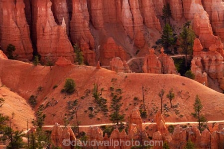 America;American-Southwest;badland;badlands;Bryce-Amphitheater;Bryce-Amphitheatre;Bryce-Canyon;Bryce-Canyon-N.P.;Bryce-Canyon-National-Park;Bryce-Canyon-NP;clay;column;columns;earth-pyramid;earth-pyramids;eroded;erosion;fairy-chimney;fairy-chimneys;formation;formations;geological;geology;hiker;hikers;hiking-path;hiking-paths;hiking-track;hiking-tracks;hiking-trail;hiking-trails;hoodoo;hoodoos;layer;layers;lookout;lookouts;national-park;national-parks;natural-geological-formation;natural-geological-formations;natural-tower;natural-towers;North-America;overlook;path;paths;pathway;pathways;Paunsaugunt-Plateau;people;person;pillar;pillars;pinnacle;pinnacles;Queens-Garden-Path;Queens-Garden-Trackl;Queens-Garden-Trail;Queens-Garden-walk;Queens-Garden-Path;Queens-Garden-Track;Queens-Garden-Trail;Queens-Garden-walk;rock;rock-chimney;rock-chimneys;rock-column;rock-columns;rock-formation;rock-formations;rock-pillar;rock-pillars;rock-pinnacle;rock-pinnacles;rock-spire;rock-spires;rock-tower;rock-towers;rocks;route;routes;Sandstone;South-west-United-States;South-west-US;South-west-USA;South-western-United-States;South-western-US;South-western-USA;Southwest-United-States;Southwest-US;Southwest-USA;Southwestern-United-States;Southwestern-US;Southwestern-USA;States;stone;tent-rock;tent-rocks;the-Southwest;tourism;tourist;tourists;track;tracks;trail;trails;tramping-track;tramping-tracks;tramping-trail;tramping-trails;U.S.A;United-States;United-States-of-America;unusual-natural-feature;unusual-natural-features;unusual-natural-formation;unusual-natural-formations;USA;UT;Utah;view;viewpoint;viewpoints;views;walker;walkers;walking-path;walking-paths;walking-track;walking-tracks;walking-trail;walking-trails;walkway;walkways;weathered;weathering;wilderness;wilderness-area;wilderness-areas