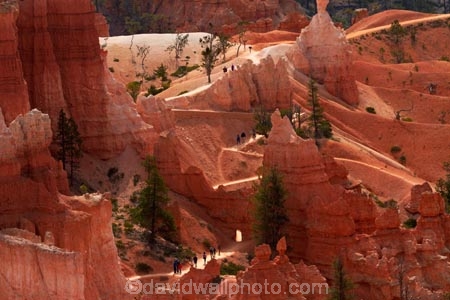 America;American-Southwest;badland;badlands;Bryce-Amphitheater;Bryce-Amphitheatre;Bryce-Canyon;Bryce-Canyon-N.P.;Bryce-Canyon-National-Park;Bryce-Canyon-NP;clay;column;columns;earth-pyramid;earth-pyramids;eroded;erosion;fairy-chimney;fairy-chimneys;formation;formations;geological;geology;hiker;hikers;hiking-path;hiking-paths;hiking-track;hiking-tracks;hiking-trail;hiking-trails;hoodoo;hoodoos;layer;layers;lookout;lookouts;national-park;national-parks;natural-geological-formation;natural-geological-formations;natural-tower;natural-towers;North-America;overlook;path;paths;pathway;pathways;Paunsaugunt-Plateau;people;person;pillar;pillars;pinnacle;pinnacles;Queens-Garden-Path;Queens-Garden-Trackl;Queens-Garden-Trail;Queens-Garden-walk;Queens-Garden-Path;Queens-Garden-Track;Queens-Garden-Trail;Queens-Garden-walk;rock;rock-chimney;rock-chimneys;rock-column;rock-columns;rock-formation;rock-formations;rock-pillar;rock-pillars;rock-pinnacle;rock-pinnacles;rock-spire;rock-spires;rock-tower;rock-towers;rocks;route;routes;Sandstone;South-west-United-States;South-west-US;South-west-USA;South-western-United-States;South-western-US;South-western-USA;Southwest-United-States;Southwest-US;Southwest-USA;Southwestern-United-States;Southwestern-US;Southwestern-USA;States;stone;tent-rock;tent-rocks;the-Southwest;tourism;tourist;tourists;track;tracks;trail;trails;tramping-track;tramping-tracks;tramping-trail;tramping-trails;tunnel;tunnels;U.S.A;United-States;United-States-of-America;unusual-natural-feature;unusual-natural-features;unusual-natural-formation;unusual-natural-formations;USA;UT;Utah;view;viewpoint;viewpoints;views;walker;walkers;walking-path;walking-paths;walking-track;walking-tracks;walking-trail;walking-trails;walkway;walkways;weathered;weathering;wilderness;wilderness-area;wilderness-areas