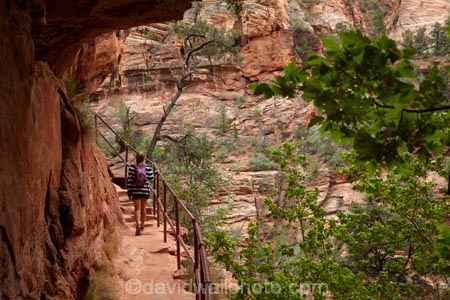 America;American-Southwest;Canyon-Overlook-Track;Canyon-Overlook-Trail;child;children;female;females;girl;girls;hand-rail;hand-rails;handrail;handrails;hiker;hikers;hiking-path;hiking-paths;hiking-track;hiking-tracks;hiking-trail;hiking-trails;kid;kids;national-parks;overhang;overhangs;path;paths;pathway;pathways;people;person;Pine-Creek-Canyon;route;routes;South-west-United-States;South-west-US;South-west-USA;South-western-United-States;South-western-US;South-western-USA;Southwest-United-States;Southwest-US;Southwest-USA;Southwestern-United-States;Southwestern-US;Southwestern-USA;States;teenager;teenagers;the-Southwest;tourism;tourist;tourists;track;tracks;trail;trails;tramping-track;tramping-tracks;tramping-trail;tramping-trails;U.S.A;United-States;United-States-of-America;USA;UT;Utah;walker;walkers;walking-path;walking-paths;walking-track;walking-tracks;walking-trail;walking-trails;walkway;walkways;Zion;Zion-N.P.;Zion-National-Park;Zion-NP