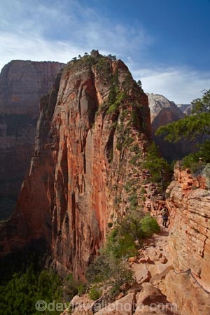adventure;adventurous;America;American-Southwest;Angels-Landing;Angels-Landing-track;Angels-Landing-trail;Angelâ€™s-Landing;Angelâ€™s-Landing-track;Angelâ€™s-Landing-trail;bluff;bluffs;cliff;cliffs;danger;dangerous;dangerous-hike;dangerous-track;Great-White-Throne;hiker;hikers;hiking-path;hiking-paths;hiking-track;hiking-tracks;hiking-trail;hiking-trails;lookout;lookouts;national-parks;overlook;path;paths;pathway;pathways;people;person;route;routes;Scout-Lookout;Scouts-Lookout;South-west-United-States;South-west-US;South-west-USA;South-western-United-States;South-western-US;South-western-USA;Southwest-United-States;Southwest-US;Southwest-USA;Southwestern-United-States;Southwestern-US;Southwestern-USA;States;the-Southwest;tourism;tourist;tourists;track;tracks;trail;trails;tramping-track;tramping-tracks;tramping-trail;tramping-trails;U.S.A;United-States;United-States-of-America;USA;UT;Utah;view;viewpoint;viewpoints;views;walker;walkers;walking-path;walking-paths;walking-track;walking-tracks;walking-trail;walking-trails;walkway;walkways;Zion;Zion-Canyon;Zion-N.P.;Zion-National-Park;Zion-NP