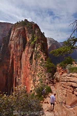 adventure;adventurous;America;American-Southwest;Angels-Landing;Angels-Landing-track;Angels-Landing-trail;Angel’s-Landing;Angel’s-Landing-track;Angel’s-Landing-trail;bluff;bluffs;cliff;cliffs;danger;dangerous;dangerous-hike;dangerous-track;hiker;hikers;hiking-path;hiking-paths;hiking-track;hiking-tracks;hiking-trail;hiking-trails;lookout;lookouts;national-parks;overlook;path;paths;pathway;pathways;people;person;route;routes;Scout-Lookout;South-west-United-States;South-west-US;South-west-USA;South-western-United-States;South-western-US;South-western-USA;Southwest-United-States;Southwest-US;Southwest-USA;Southwestern-United-States;Southwestern-US;Southwestern-USA;States;the-Southwest;tourism;tourist;tourists;track;tracks;trail;trails;tramping-track;tramping-tracks;tramping-trail;tramping-trails;U.S.A;United-States;United-States-of-America;USA;UT;Utah;view;viewpoint;viewpoints;views;walker;walkers;walking-path;walking-paths;walking-track;walking-tracks;walking-trail;walking-trails;walkway;walkways;Zion;Zion-Canyon;Zion-N.P.;Zion-National-Park;Zion-NP