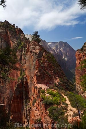 adventure;adventurous;America;American-Southwest;Angels-Landing;Angels-Landing-track;Angels-Landing-trail;Angelâ€™s-Landing;Angelâ€™s-Landing-track;Angelâ€™s-Landing-trail;bluff;bluffs;cliff;cliffs;danger;dangerous;dangerous-hike;dangerous-track;hiker;hikers;hiking-path;hiking-paths;hiking-track;hiking-tracks;hiking-trail;hiking-trails;lookout;lookouts;national-parks;overlook;path;paths;pathway;pathways;people;person;route;routes;Scout-Lookout;Scouts-Lookout;South-west-United-States;South-west-US;South-west-USA;South-western-United-States;South-western-US;South-western-USA;Southwest-United-States;Southwest-US;Southwest-USA;Southwestern-United-States;Southwestern-US;Southwestern-USA;States;the-Southwest;tourism;tourist;tourists;track;tracks;trail;trails;tramping-track;tramping-tracks;tramping-trail;tramping-trails;U.S.A;United-States;United-States-of-America;USA;UT;Utah;view;viewpoint;viewpoints;views;walker;walkers;walking-path;walking-paths;walking-track;walking-tracks;walking-trail;walking-trails;walkway;walkways;Zion;Zion-Canyon;Zion-N.P.;Zion-National-Park;Zion-NP