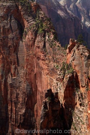 adventure;adventurous;America;American-Southwest;Angels-Landing;Angels-Landing-track;Angels-Landing-trail;Angelâ€™s-Landing;Angelâ€™s-Landing-track;Angelâ€™s-Landing-trail;bluff;bluffs;cliff;cliffs;danger;dangerous;dangerous-hike;dangerous-track;hiking-path;hiking-paths;hiking-track;hiking-tracks;hiking-trail;hiking-trails;lookout;lookouts;national-parks;overlook;path;paths;pathway;pathways;route;routes;South-west-United-States;South-west-US;South-west-USA;South-western-United-States;South-western-US;South-western-USA;Southwest-United-States;Southwest-US;Southwest-USA;Southwestern-United-States;Southwestern-US;Southwestern-USA;States;steep;the-Southwest;track;tracks;trail;trails;tramping-track;tramping-tracks;tramping-trail;tramping-trails;U.S.A;United-States;United-States-of-America;USA;UT;Utah;view;viewpoint;viewpoints;views;walking-path;walking-paths;walking-track;walking-tracks;walking-trail;walking-trails;walkway;walkways;Zion;Zion-Canyon;Zion-N.P.;Zion-National-Park;Zion-NP