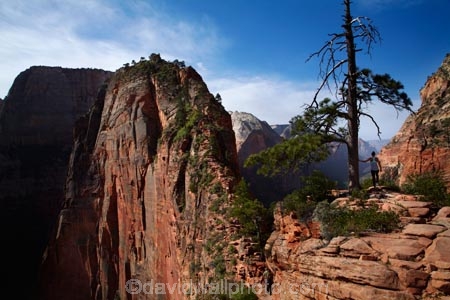adventure;adventurous;America;American-Southwest;Angels-Landing;Angels-Landing-track;Angels-Landing-trail;Angelâ€™s-Landing;Angelâ€™s-Landing-track;Angelâ€™s-Landing-trail;bluff;bluffs;cliff;cliffs;danger;dangerous;dangerous-hike;dangerous-track;female;females;Great-White-Throne;hiker;hikers;hiking-path;hiking-paths;hiking-track;hiking-tracks;hiking-trail;hiking-trails;lookout;lookouts;national-parks;overlook;path;paths;pathway;pathways;people;person;route;routes;Scout-Lookout;Scouts-Lookout;South-west-United-States;South-west-US;South-west-USA;South-western-United-States;South-western-US;South-western-USA;Southwest-United-States;Southwest-US;Southwest-USA;Southwestern-United-States;Southwestern-US;Southwestern-USA;States;the-Southwest;tourism;tourist;tourists;track;tracks;trail;trails;tramping-track;tramping-tracks;tramping-trail;tramping-trails;U.S.A;United-States;United-States-of-America;USA;UT;Utah;view;viewpoint;viewpoints;views;walker;walkers;walking-path;walking-paths;walking-track;walking-tracks;walking-trail;walking-trails;walkway;walkways;woman;women;Zion;Zion-Canyon;Zion-N.P.;Zion-National-Park;Zion-NP