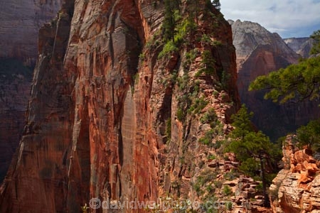 adventure;adventurous;America;American-Southwest;Angels-Landing;Angels-Landing-track;Angels-Landing-trail;Angelâ€™s-Landing;Angelâ€™s-Landing-track;Angelâ€™s-Landing-trail;bluff;bluffs;cliff;cliffs;danger;dangerous;dangerous-hike;dangerous-track;hiker;hikers;hiking-path;hiking-paths;hiking-track;hiking-tracks;hiking-trail;hiking-trails;lookout;lookouts;national-parks;overlook;path;paths;pathway;pathways;people;person;route;routes;Scout-Lookout;South-west-United-States;South-west-US;South-west-USA;South-western-United-States;South-western-US;South-western-USA;Southwest-United-States;Southwest-US;Southwest-USA;Southwestern-United-States;Southwestern-US;Southwestern-USA;States;the-Southwest;tourism;tourist;tourists;track;tracks;trail;trails;tramping-track;tramping-tracks;tramping-trail;tramping-trails;U.S.A;United-States;United-States-of-America;USA;UT;Utah;view;viewpoint;viewpoints;views;walker;walkers;walking-path;walking-paths;walking-track;walking-tracks;walking-trail;walking-trails;walkway;walkways;Zion;Zion-Canyon;Zion-N.P.;Zion-National-Park;Zion-NP