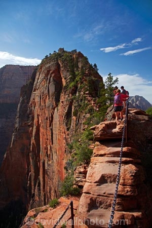 America;American-Southwest;Angels-Landing-track;Angels-Landing-trail;Angelâ€™s-Landing-track;Angelâ€™s-Landing-trail;national-parks;South-west-United-States;South-west-US;South-west-USA;South-western-United-States;South-western-US;South-western-USA;Southwest-United-States;Southwest-US;Southwest-USA;Southwestern-United-States;Southwestern-US;Southwestern-USA;States;the-Southwest;U.S.A;United-States;United-States-of-America;USA;UT;Utah;Zion;Zion-N.P.;Zion-National-Park;Zion-NP