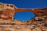 America;American-Southwest;archway;archways;Armstrong-Canyon;Cedar-Mesa-Formation;geological;geology;natural-arch;natural-arches;natural-bridge;natural-bridges;Natural-Bridges-N.M.;Natural-Bridges-National-Monument;natural-geological-formation;natural-geological-formations;Natural-Rock-Arch;natural-rock-arches;natural-rock-archs;natural-rock-bridge;natural-rock-bridges;Owachomo;Owachomo-Bridge;Owachomo-Natural-Bridge;people;Permian-sandstone;person;rock;rock-arch;rock-arches;rock-bridge;rock-bridges;rock-formation;rock-formations;rock-outcrop;rock-outcrops;rock-tor;rock-torr;rock-torrs;rock-tors;rocks;Sandstone;South-west-United-States;South-west-US;South-west-USA;South-western-United-States;South-western-US;South-western-USA;Southwest-United-States;Southwest-US;Southwest-USA;Southwestern-United-States;Southwestern-US;Southwestern-USA;States;stone;the-Southwest;tourism;tourist;tourists;U.S.-National-Monument;U.S.-National-Monuments;U.S.A;United-States;United-States-of-America;unusual-natural-feature;unusual-natural-features;unusual-natural-formation;unusual-natural-formations;USA;UT;Utah;visitor;visitors;wilderness;wilderness-area;wilderness-areas