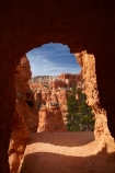 America;American-Southwest;badland;badlands;Bryce-Amphitheater;Bryce-Amphitheatre;Bryce-Canyon;Bryce-Canyon-N.P.;Bryce-Canyon-National-Park;Bryce-Canyon-NP;clay;column;columns;earth-pyramid;earth-pyramids;eroded;erosion;fairy-chimney;fairy-chimneys;formation;formations;geological;geology;hiking-path;hiking-paths;hiking-track;hiking-tracks;hiking-trail;hiking-trails;hoodoo;hoodoos;layer;layers;national-park;national-parks;natural-geological-formation;natural-geological-formations;natural-tower;natural-towers;North-America;path;paths;pathway;pathways;Paunsaugunt-Plateau;pillar;pillars;pinnacle;pinnacles;Queens-Garden-Path;Queens-Garden-Trackl;Queens-Garden-Trail;Queens-Garden-walk;Queens-Garden-Path;Queens-Garden-Track;Queens-Garden-Trail;Queens-Garden-walk;rock;rock-chimney;rock-chimneys;rock-column;rock-columns;rock-formation;rock-formations;rock-pillar;rock-pillars;rock-pinnacle;rock-pinnacles;rock-spire;rock-spires;rock-tower;rock-towers;rocks;route;routes;Sandstone;South-west-United-States;South-west-US;South-west-USA;South-western-United-States;South-western-US;South-western-USA;Southwest-United-States;Southwest-US;Southwest-USA;Southwestern-United-States;Southwestern-US;Southwestern-USA;States;stone;tent-rock;tent-rocks;the-Southwest;track;tracks;trail;trails;tramping-track;tramping-tracks;tramping-trail;tramping-trails;tunnel;tunnels;U.S.A;United-States;United-States-of-America;unusual-natural-feature;unusual-natural-features;unusual-natural-formation;unusual-natural-formations;USA;UT;Utah;walking-path;walking-paths;walking-track;walking-tracks;walking-trail;walking-trails;walkway;walkways;weathered;weathering;wilderness;wilderness-area;wilderness-areas