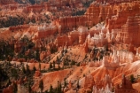 America;American-Southwest;badland;badlands;Bryce-Amphitheater;Bryce-Amphitheatre;Bryce-Canyon;Bryce-Canyon-N.P.;Bryce-Canyon-National-Park;Bryce-Canyon-NP;clay;column;columns;earth-pyramid;earth-pyramids;eroded;erosion;fairy-chimney;fairy-chimneys;formation;formations;geological;geology;hoodoo;hoodoos;layer;layers;lookout;lookouts;national-park;national-parks;natural-geological-formation;natural-geological-formations;natural-tower;natural-towers;North-America;overlook;Paunsaugunt-Plateau;pillar;pillars;pinnacle;pinnacles;rock;rock-chimney;rock-chimneys;rock-column;rock-columns;rock-formation;rock-formations;rock-pillar;rock-pillars;rock-pinnacle;rock-pinnacles;rock-spire;rock-spires;rock-tower;rock-towers;rocks;Sandstone;South-west-United-States;South-west-US;South-west-USA;South-western-United-States;South-western-US;South-western-USA;Southwest-United-States;Southwest-US;Southwest-USA;Southwestern-United-States;Southwestern-US;Southwestern-USA;States;stone;tent-rock;tent-rocks;the-Southwest;U.S.A;United-States;United-States-of-America;unusual-natural-feature;unusual-natural-features;unusual-natural-formation;unusual-natural-formations;USA;UT;Utah;view;viewpoint;viewpoints;views;weathered;weathering;wilderness;wilderness-area;wilderness-areas