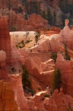 America;American-Southwest;badland;badlands;Bryce-Amphitheater;Bryce-Amphitheatre;Bryce-Canyon;Bryce-Canyon-N.P.;Bryce-Canyon-National-Park;Bryce-Canyon-NP;clay;column;columns;earth-pyramid;earth-pyramids;eroded;erosion;fairy-chimney;fairy-chimneys;formation;formations;geological;geology;hiker;hikers;hiking-path;hiking-paths;hiking-track;hiking-tracks;hiking-trail;hiking-trails;hoodoo;hoodoos;layer;layers;lookout;lookouts;national-park;national-parks;natural-geological-formation;natural-geological-formations;natural-tower;natural-towers;North-America;overlook;path;paths;pathway;pathways;Paunsaugunt-Plateau;people;person;pillar;pillars;pinnacle;pinnacles;Queens-Garden-Path;Queens-Garden-Trackl;Queens-Garden-Trail;Queens-Garden-walk;Queens-Garden-Path;Queens-Garden-Track;Queens-Garden-Trail;Queens-Garden-walk;rock;rock-chimney;rock-chimneys;rock-column;rock-columns;rock-formation;rock-formations;rock-pillar;rock-pillars;rock-pinnacle;rock-pinnacles;rock-spire;rock-spires;rock-tower;rock-towers;rocks;route;routes;Sandstone;South-west-United-States;South-west-US;South-west-USA;South-western-United-States;South-western-US;South-western-USA;Southwest-United-States;Southwest-US;Southwest-USA;Southwestern-United-States;Southwestern-US;Southwestern-USA;States;stone;tent-rock;tent-rocks;the-Southwest;tourism;tourist;tourists;track;tracks;trail;trails;tramping-track;tramping-tracks;tramping-trail;tramping-trails;tunnel;tunnels;U.S.A;United-States;United-States-of-America;unusual-natural-feature;unusual-natural-features;unusual-natural-formation;unusual-natural-formations;USA;UT;Utah;view;viewpoint;viewpoints;views;walker;walkers;walking-path;walking-paths;walking-track;walking-tracks;walking-trail;walking-trails;walkway;walkways;weathered;weathering;wilderness;wilderness-area;wilderness-areas