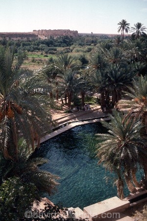 oasis;oases;meskie;morocco;moroccan;sahara;saharan;water;pool;pools;swimming;north-africa;african;retreat;sanctuary;cool;desert