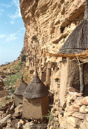 dogon;dogons;cliff;cliffs;bluff;bluffs;dweller;dwellers;tomb;tombs;grave;graves;sahel;escarpments;tradition;traditional;traditions;culture;cultures;cultural;people;peoples;thatch;thatched;roof;rooves;mud-hut;granery;graneries;granery;granaries;straw-roof;grass-rooves;tribal;tribe;african;villages;tellem;mali-;malian;africa;african;sahel;bandiagara;escarpment;irelli;ireli;west-africa;architecture;architectural