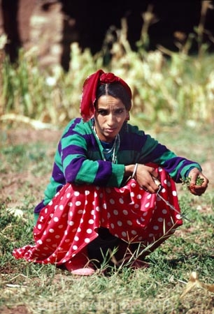 lady;woman;women;female;moroccan;african;atlas;mountains;mint;pick;picking;tradition;traditional;culture;cultural;Ait-Benhaddou-Village;Southern-Atlas-Mountains;Morocco;North-Africa