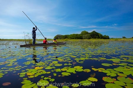 Africa;African;aquatic-plant;aquatic-plants;boat;boats;Botswana;boy;boys;canoe;canoes;delta;deltas;dugout;dugout-canoe;dugout-canoes;dugouts;Endorheic-basin;female;inland-delta;internal-drainage-systems;lily-pad;lily-pads;logboat;makoro;makoros;mekoro;mekoros;mokoro;mokoro-safari;mokoros;monoxylon;Nymphaeaceae;Okavango;Okavango-Delta;Okavango-Swamp;people;person;pirogue;pirogues;plant;plants;poler;polers;river-delta;Seven-Natural-Wonders-of-Africa;Southern-Africa;tourism;tourist;tourists;water-lilies;water-lily;water-lily-pad;water-lily-pads;water_lilies;water_lily;waterlilies;waterlily;waterlily-pad;waterlily-pads;woman;women