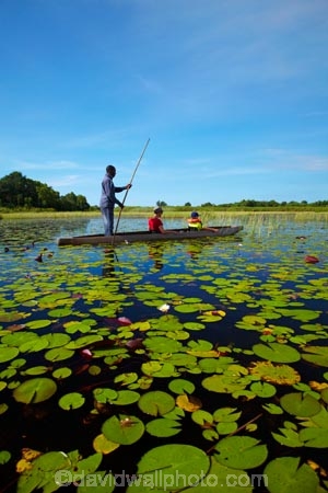 Africa;African;aquatic-plant;aquatic-plants;boat;boats;Botswana;boy;boys;canoe;canoes;delta;deltas;dugout;dugout-canoe;dugout-canoes;dugouts;Endorheic-basin;female;inland-delta;internal-drainage-systems;lily-pad;lily-pads;logboat;makoro;makoros;mekoro;mekoros;mokoro;mokoro-safari;mokoros;monoxylon;Nymphaeaceae;Okavango;Okavango-Delta;Okavango-Swamp;people;person;pirogue;pirogues;plant;plants;poler;polers;river-delta;Seven-Natural-Wonders-of-Africa;Southern-Africa;tourism;tourist;tourists;water-lilies;water-lily;water-lily-pad;water-lily-pads;water_lilies;water_lily;waterlilies;waterlily;waterlily-pad;waterlily-pads;woman;women