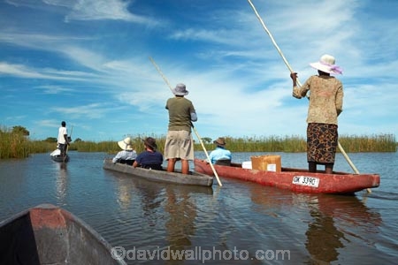 Africa;African;boat;boats;Botswana;canoe;canoes;delta;deltas;dugout;dugout-canoe;dugout-canoes;dugouts;Endorheic-basin;inland-delta;internal-drainage-systems;logboat;makoro;makoros;mekoro;mekoros;mokoro;mokoro-safari;mokoros;Okavango;Okavango-Delta;Okavango-Swamp;people;person;pirogue;pirogues;poler;polers;river-delta;safari;safaris;Seven-Natural-Wonders-of-Africa;Southern-Africa;tourism;tourist;tourists