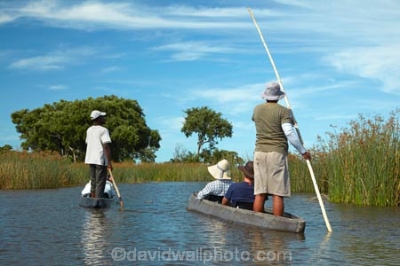 Africa;African;boat;boats;Botswana;canoe;canoes;delta;deltas;dugout;dugout-canoe;dugout-canoes;dugouts;Endorheic-basin;inland-delta;internal-drainage-systems;logboat;makoro;makoros;mekoro;mekoros;mokoro;mokoro-safari;mokoros;Okavango;Okavango-Delta;Okavango-Swamp;people;person;pirogue;pirogues;poler;polers;river-delta;safari;safaris;Seven-Natural-Wonders-of-Africa;Southern-Africa;tourism;tourist;tourists
