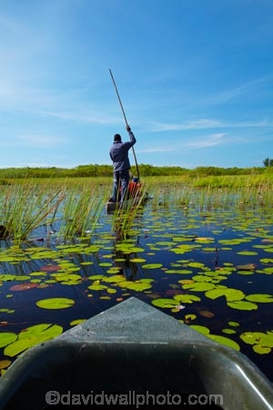 Africa;African;aquatic-plant;aquatic-plants;boat;boats;Botswana;canoe;canoes;delta;deltas;dugout;dugout-canoe;dugout-canoes;dugouts;Endorheic-basin;inland-delta;internal-drainage-systems;lily-pad;lily-pads;logboat;makoro;makoros;mekoro;mekoros;mokoro;mokoro-safari;mokoros;monoxylon;Nymphaeaceae;Okavango;Okavango-Delta;Okavango-Swamp;people;person;pirogue;pirogues;plant;plants;poler;polers;river-delta;Seven-Natural-Wonders-of-Africa;Southern-Africa;tourism;tourist;tourists;water-lilies;water-lily;water-lily-pad;water-lily-pads;water_lilies;water_lily;waterlilies;waterlily;waterlily-pad;waterlily-pads