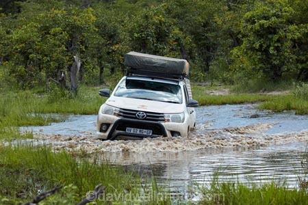 4wd;4wds;4wds;4x4;4x4s;4x4s;Africa;African;Botswana;Bushlore;Bushlore-4x4;Bushlore-4x4-camper;camper;campers;deep;double-cab-hilux;flooded;four-by-four;four-by-fours;four-wheel-drive;four-wheel-drives;game-park;game-parks;Game-Reserve;game-reserves;Hilux;hilux-camper;Hiluxes;Moremi;Moremi-Game-Reserve;Moremi-Reserve;national-park;national-parks;park;parks;rainy-season;reserve;reserves;roof-tent;roof-tents;safari;safaris;Southern-Africa;sports-utility-vehicle;sports-utility-vehicles;suv;suvs;Toyota;toyota-camper;Toyota-Hilux;Toyota-Hiluxes;Toyotas;track;tracks;twin-cab-hilux;vehicle;vehicles;water;wet;wet-season;widlife-parks;wildlife-park