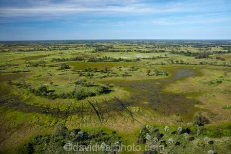 aerial;aerial-image;aerial-images;aerial-photo;aerial-photograph;aerial-photographs;aerial-photography;aerial-photos;aerial-view;aerial-views;aerials;Africa;animal-track;animal-tracks;animal-trail;animal-trails;Botswana;delta;deltas;Endorheic-basin;flood-plain;flood-plains;flood_plain;flood_plains;floodplain;floodplains;inland-delta;internal-drainage-systems;Okavango;Okavango-Delta;Okavango-Swamp;path;paths;pathways;plain;plains;river-delta;Seven-Natural-Wonders-of-Africa;Southern-Africa;swamp;swampland;swamps;track;tracks;trail;trails;wildlife-tracks;wildlife-trails