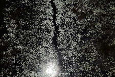 aerial;aerial-image;aerial-images;aerial-photo;aerial-photograph;aerial-photographs;aerial-photography;aerial-photos;aerial-view;aerial-views;aerials;Africa;aquatic-plant;aquatic-plants;Botswana;chanel;chanels;delta;deltas;Endorheic-basin;flood-plain;flood-plains;flood_plain;flood_plains;floodplain;floodplains;inland-delta;internal-drainage-systems;Nymphaeaceae;Okavango;Okavango-Delta;Okavango-Swamp;plain;plains;plant;plants;river;river-delta;rivers;Seven-Natural-Wonders-of-Africa;Southern-Africa;stream;streams;swamp;swampland;swamps;water;water-lilies;water-lily;water_lilies;water_lily;waterlilies;waterlily;channel;channels;