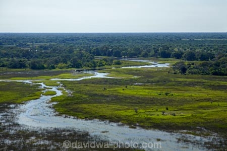 aerial;aerial-image;aerial-images;aerial-photo;aerial-photograph;aerial-photographs;aerial-photography;aerial-photos;aerial-view;aerial-views;aerials;Africa;Boro-River;Botswana;delta;deltas;Endorheic-basin;flood-plain;flood-plains;flood_plain;flood_plains;floodplain;floodplains;inland-delta;internal-drainage-systems;Okavango;Okavango-Delta;Okavango-Swamp;plain;plains;pond;ponds;river-delta;Seven-Natural-Wonders-of-Africa;Southern-Africa;swamp;swampland;swamps;water