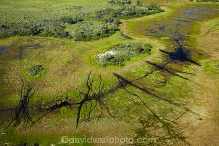 aerial;aerial-image;aerial-images;aerial-photo;aerial-photograph;aerial-photographs;aerial-photography;aerial-photos;aerial-view;aerial-views;aerials;Africa;animal-track;animal-tracks;animal-trail;animal-trails;Botswana;delta;deltas;Endorheic-basin;flood-plain;flood-plains;flood_plain;flood_plains;floodplain;floodplains;inland-delta;internal-drainage-systems;Okavango;Okavango-Delta;Okavango-Swamp;path;paths;pathways;plain;plains;river-delta;Seven-Natural-Wonders-of-Africa;Southern-Africa;swamp;swampland;swamps;track;tracks;trail;trails;wildlife-tracks;wildlife-trails